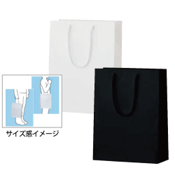 シャイニーバッグＡ4ファイル収納 M